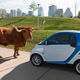 Illustration for article titled Daimler car2go Smart Car Rental Program Launching In Austin This Fall